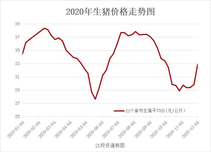 新罗区生猪最新价格｜新罗生猪市场价格速览