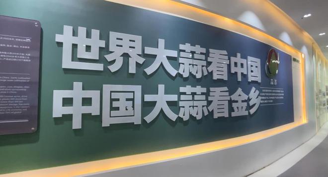 今日热点：金乡大蒜行情探讨——最新论坛资讯速递