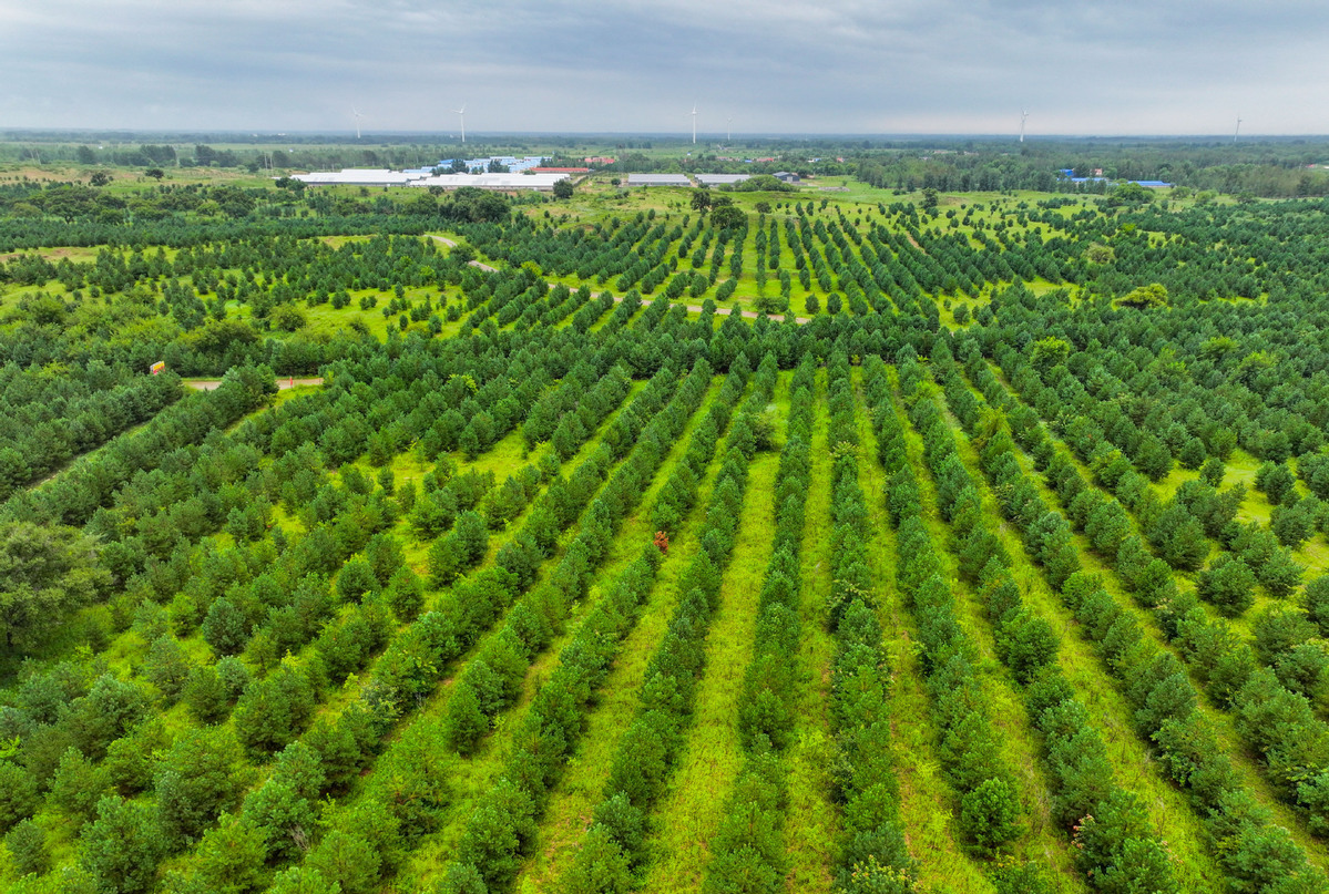 探寻绿意盎然：青草社区全新定位与地址揭晓！